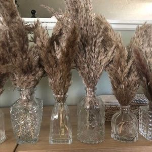 Bundle of 6 boho Bud vases filled with pampas grass wedding decor centerpieces